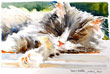 Marie Natale Watercolor Pets & Animals